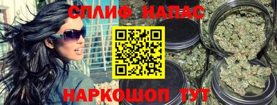 ешки Новозыбков