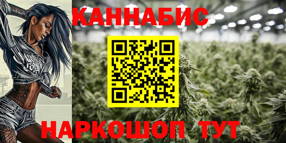 Бошки марихуана планчик  Вход с VPN  Канабис ГИДРОПОН  Тула  Канабис SATIVA & INDICA 